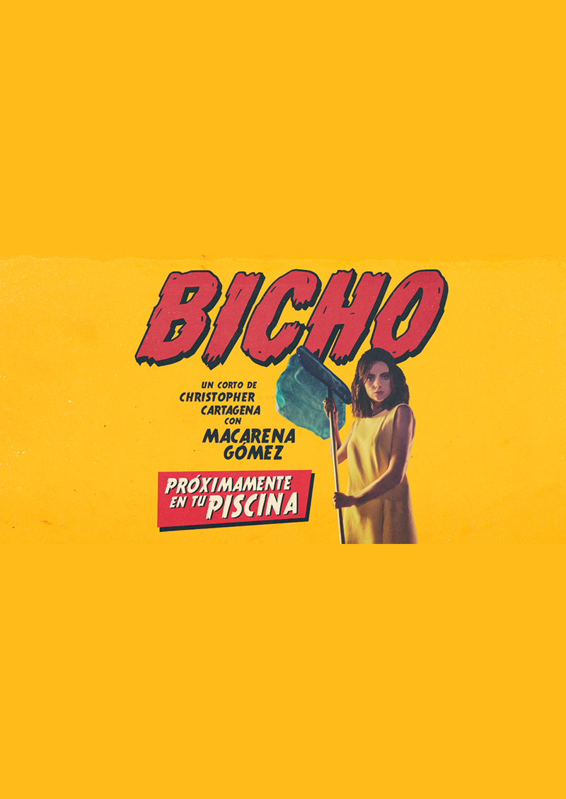 Bicho